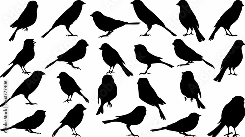 Silhouette illustration displaying a multitude of birds in various poses and orientations