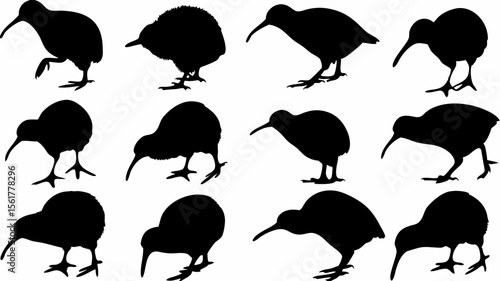 Silhouette collection of kiwi birds in various poses and stances on a white isolated background view