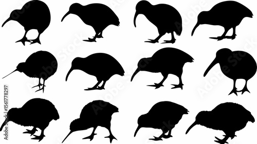 Silhouette depictions of kiwi birds in various poses and positions against a white background plain scene
