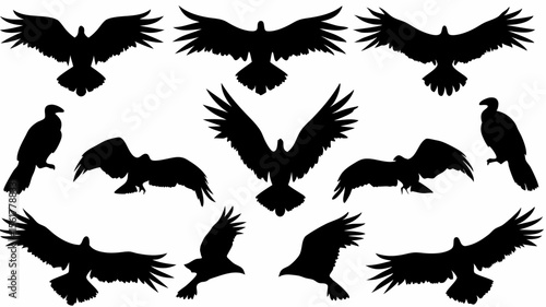 Silhouette illustration featuring multiple eagles in various flying and perched positions