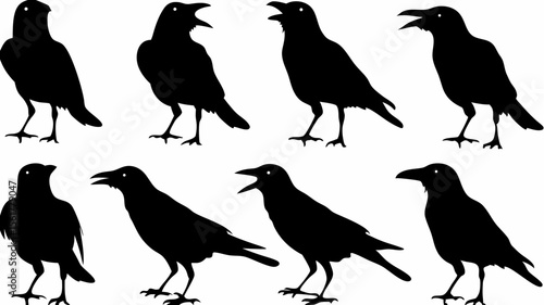 Silhouette illustration of eight crows standing in various poses on a white background design vector