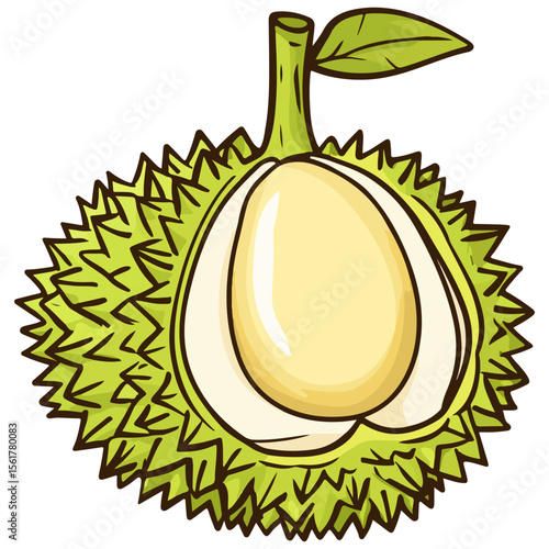 durian, fruit, vector, transparent background, food, durio zibethinus, fresh, organic, isolated, icon, nature, healthy, health, tropical, exotic, tasty, freshness, ingredient, delicious