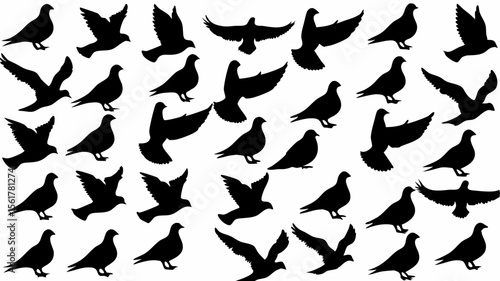Silhouette illustration featuring a multitude of birds in various poses and orientations flying around