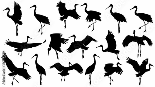 Silhouette illustration of various cranes in different poses against a white background image art style