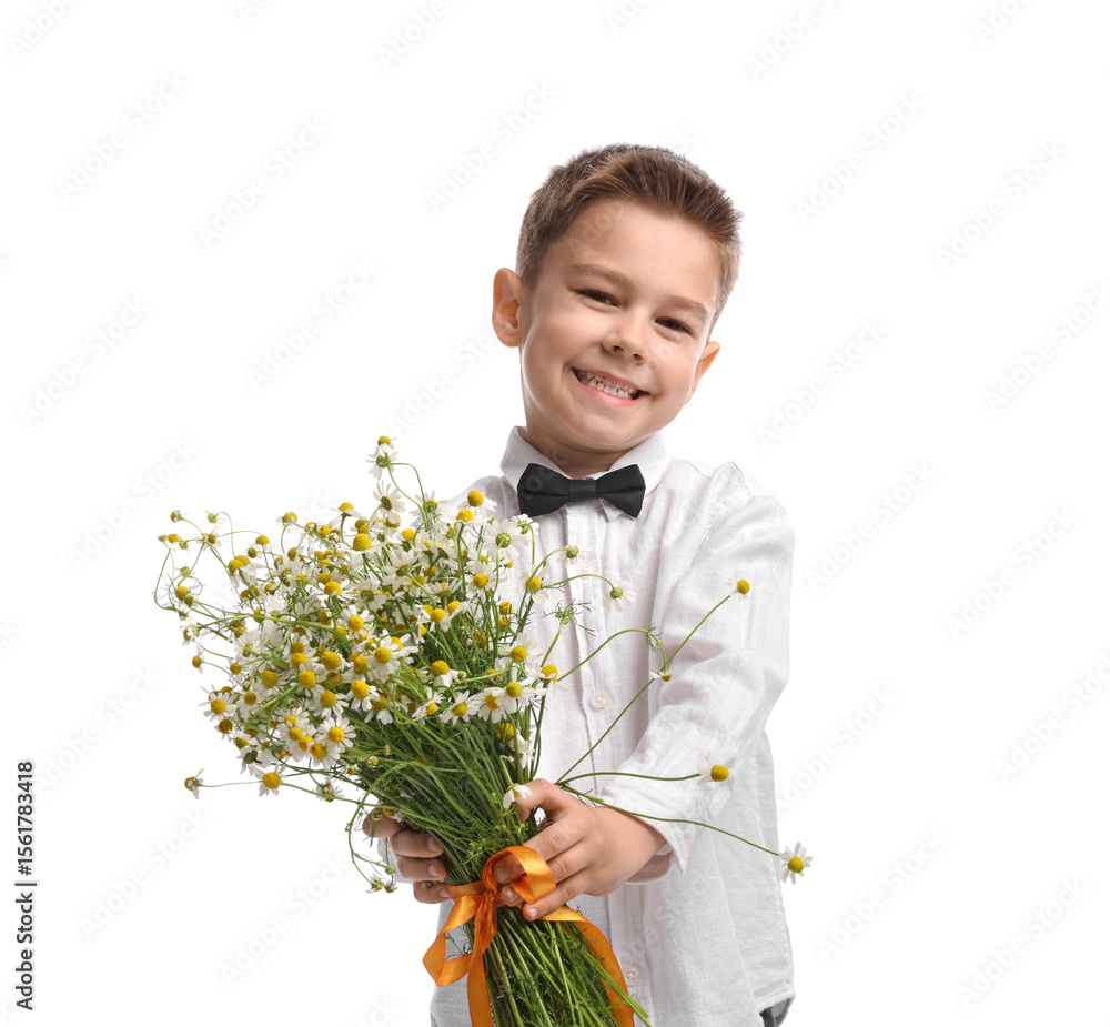 Smiling little boy giving bouquet of beautiful chamomile flowers on white background Smiling little boy giving bouquet of beautiful chamomile flowers on white background
