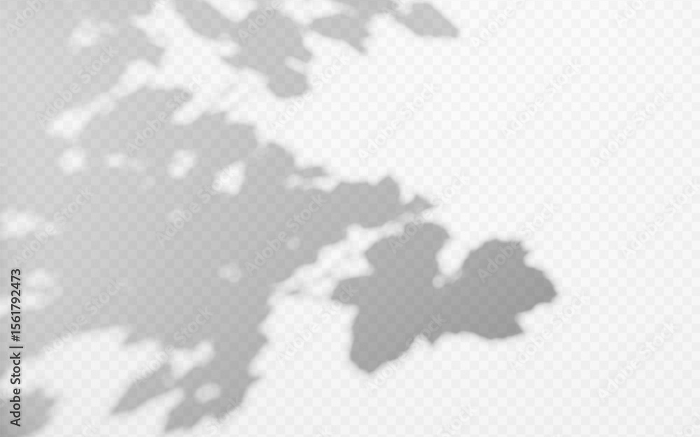 Fototapeta premium Abstract shadow overlay from tree branch on a transparent background.