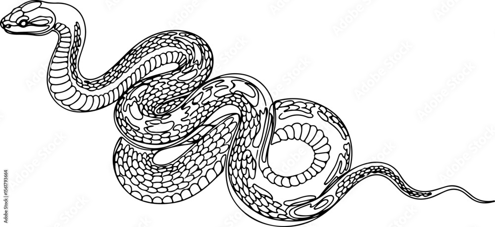 Fototapeta premium Abstract Snake Line Art – Continuous Minimalist Serpent Illustration