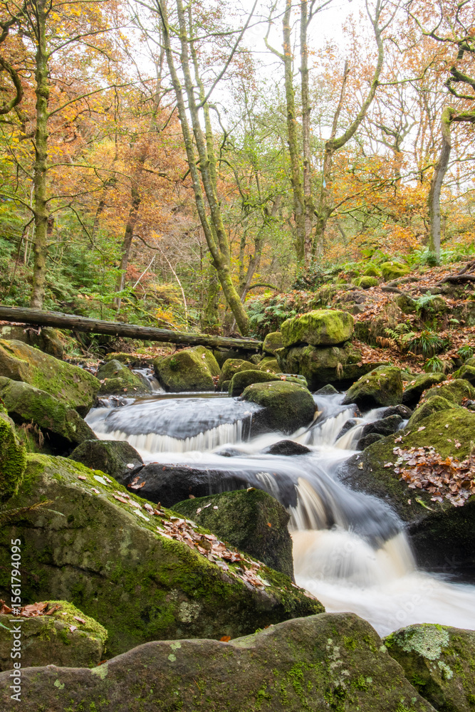 A fallen tree and a small cascade in Burbage Brook in autumn at Padley Gorge, Peak District A fallen tree and a small cascade in Burbage Brook in autumn at Padley Gorge, Peak District