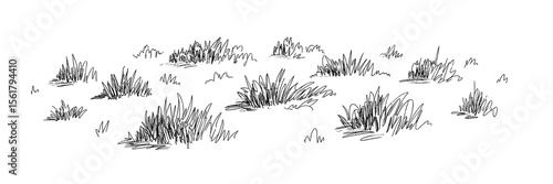 Doodle sketch of grass clumps, grass, drawing, meadow, field, nature, illustration, summer, simple, plant