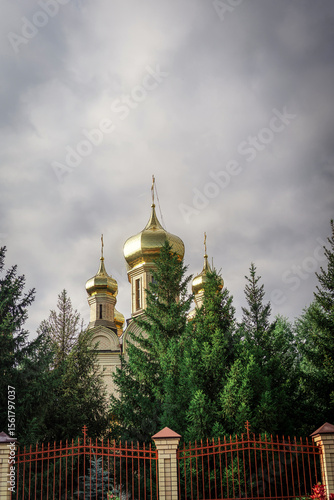 Wallpaper Mural Orthodox church domes behind trees, overcast sky. Religious architecture. Torontodigital.ca