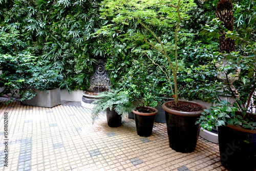 Fototapet Patio intérieur avec plantes et fontaine