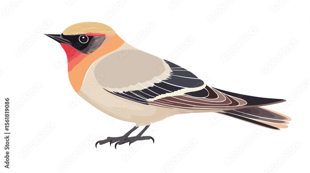 Obraz premium Bohemian Waxwing Bird Flat Vector Illustration