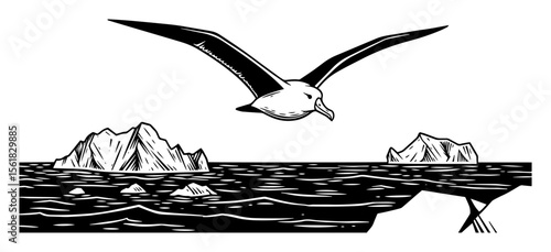 Seagull gliding over icy Arctic waters with distant icebergs on horizon, crisp black-and-white vector illustration