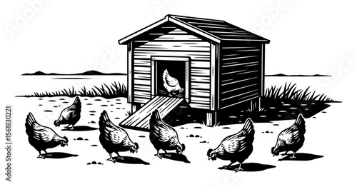 Rural chicken coop with flock of free-range hens pecking in yard, farm life black-and-white vector illustration