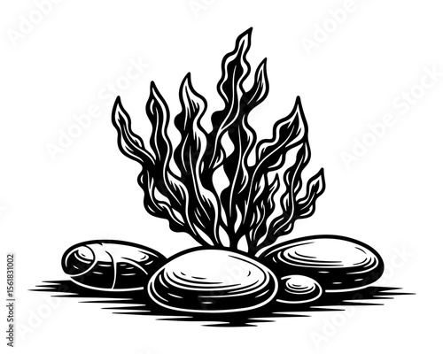 underwater seaweed and stones vector illustration