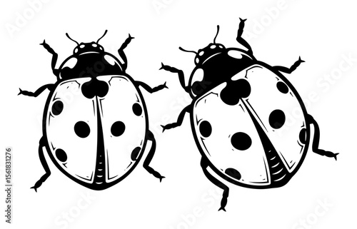 pair of ladybugs drawn in black and white retro engraving style vector illustration