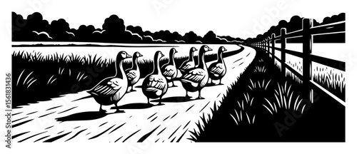 Geese crossing farm road vector engraving – gaggle of domestic geese waddling along dirt track beside fence