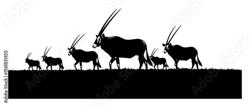 Oryx antelope silhouette vector – long-horn desert herd walking along savanna horizon at sunset