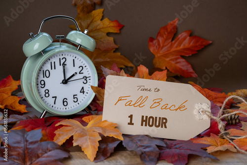 Fototapeta Naklejka Na Ścianę i Meble -  Autumn time change concept.  Fall Back 1 Hour message tag with alarm clock surrounded by colorful fall foliage.