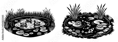garden ponds with water lilies and frogs vector