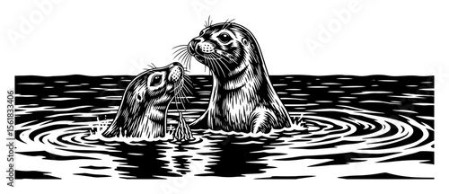 two seals swimming in water, black and white marine life vector in retro engraved style