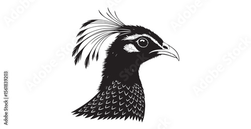 Elegant peacock head with detailed feathers and crest silhouette