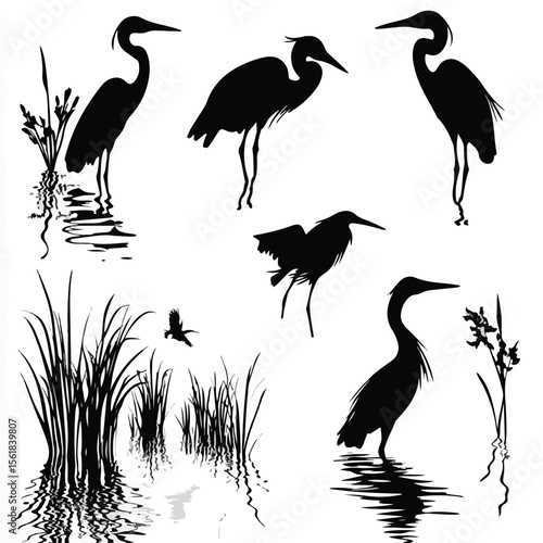  great blue heron silhouette