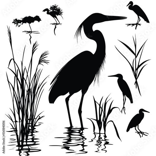  great blue heron silhouette