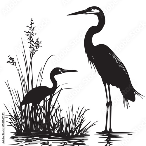  great blue heron silhouette