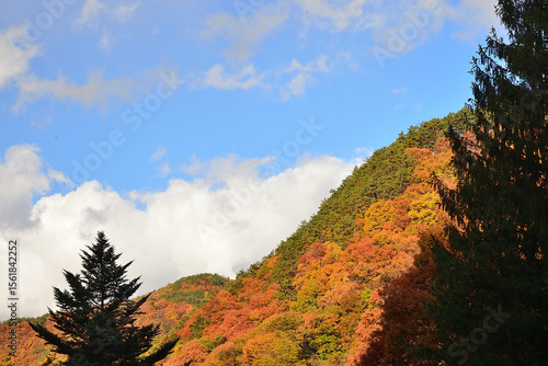 紅葉がきれいな山の景色