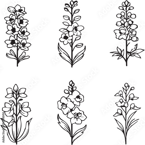 Delphinium Black Line Editable Icons set 
