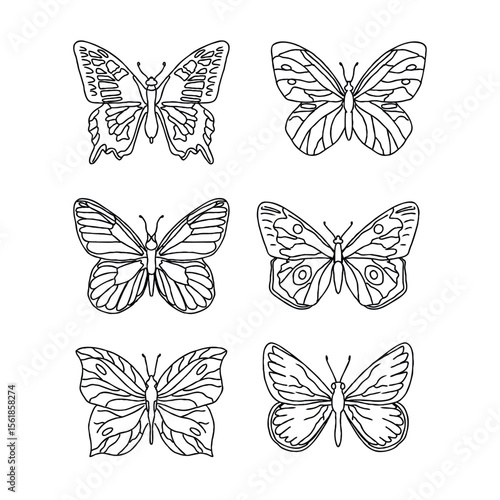 Black and white butterfly illustrations