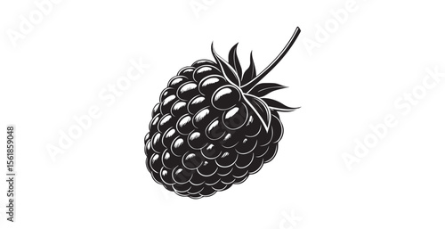 Detailed black and white blackberry silhouette with stem and leaves