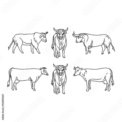 Black and white line art of various cows and bulls