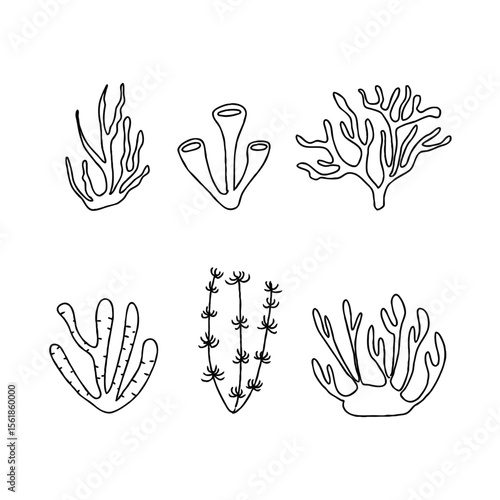 Black and white sea plants