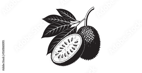 Exotic breadfruit cut in half with leaves silhouette