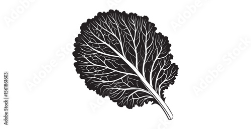 Detailed black and white illustration of a kale leaf with intricate vein patterns silhouette
