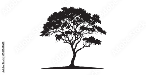 Detailed black silhouette of a majestic tree with spreading branches and foliage