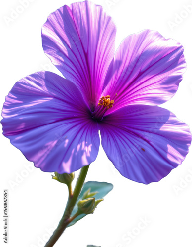 create a captivating digital painting of a single purple flower, bathed in intricate details and soft, vibrant colors, the flower should be the focal point
