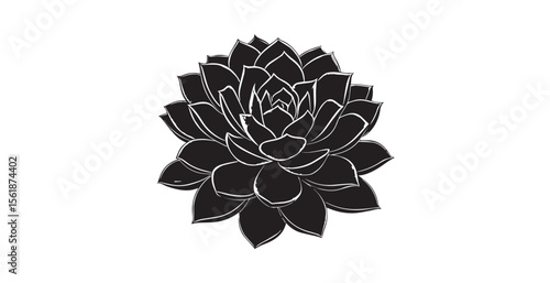 Detailed black and white succulent flower silhouette with textured petals