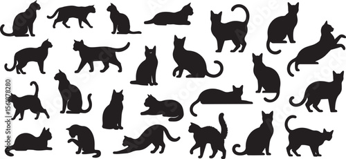 Silhouettes of various cats in different poses isolated on white background