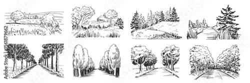 Landscape sketch illustrations: countryside, trees, forest, path, woodland, perspective