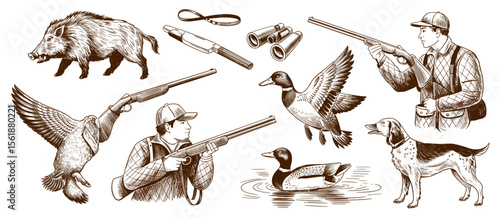 Hunting scene with hunter, rifle, dog, ducks, boar, sketch drawing vintage style