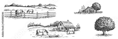 Sketch landscape with horses, farm house, tree. Countryside drawing. Hand drawn, isolated