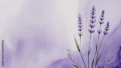 Watercolor lavender sprigs on purple empty space, soft floral art for design use.
