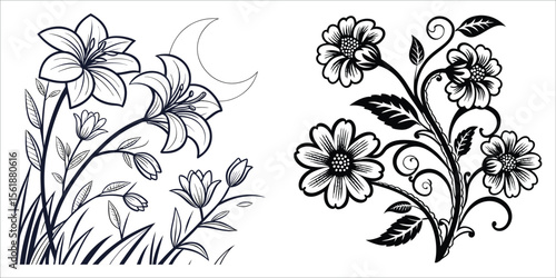 Lily and daisy floral designs botanical nature