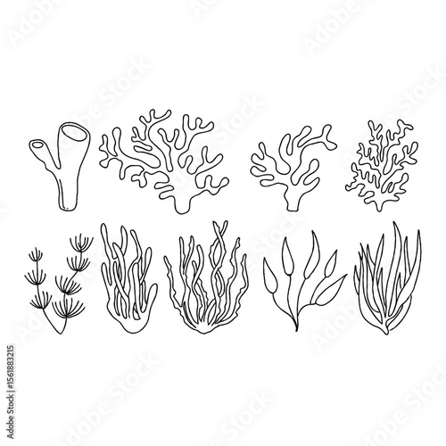 Underwater plant illustrations