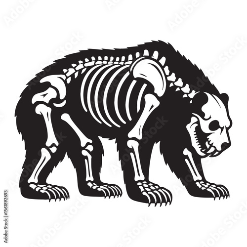 Fossil remains reimagined – Bear skeleton silhouette rendered through minimal Bear skeleton vector – Bear skeleton illustration

