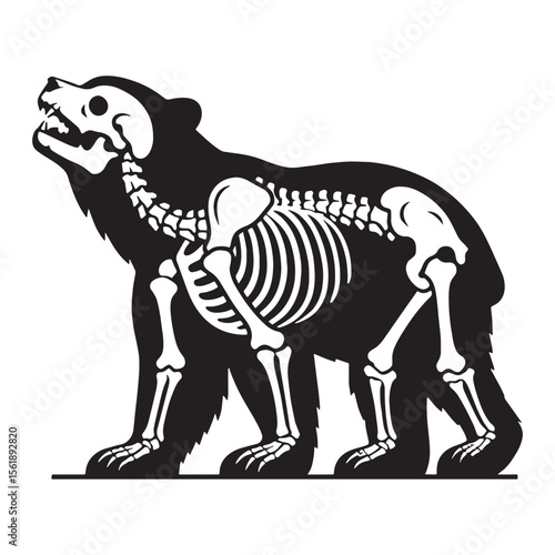 Capturing ancient strength – Bear skeleton silhouette redefined in clean Bear skeleton vector – Bear skeleton illustration

