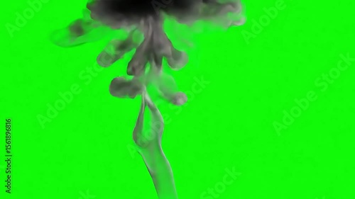 Thick Black Smoke Cloud Rising Vertically on Green Screen